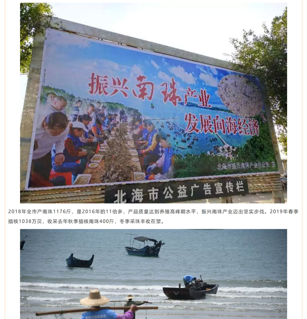 古老南珠，綻放異彩
